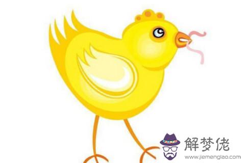 出生于2005年生肖雞的人運勢如何？
