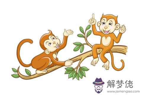 出生于2016年的生肖猴女命運如何？