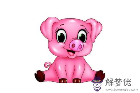 生肖豬和生肖雞的合財嗎？
