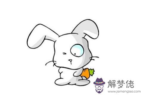 屬兔的幾月出生最好，命運最好？