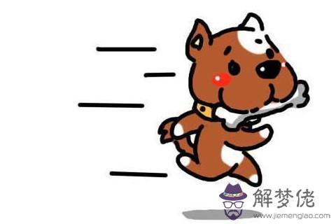 2006年屬狗女在2020年的15歲的運勢怎么樣