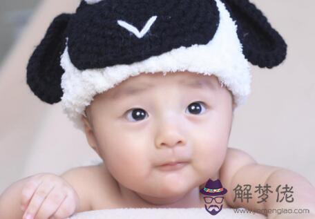 哪一月出生的鼠寶寶命很好？萬事不求人？(圖文)