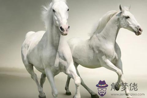 屬馬人2021年佩戴什么開運吉祥物旺自己 屬馬的2021年的吉祥物是什么