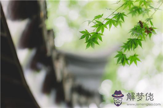 屬羊的人2020年3月運勢