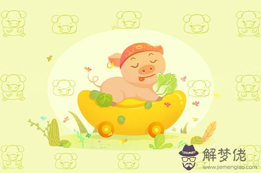 屬豬的人好不好，有哪些優缺點