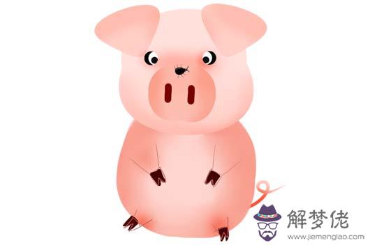 生肖屬豬的名人明星有哪些