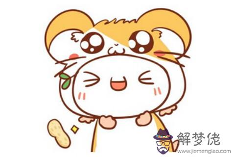 什么生肖和屬鼠不合 2020年屬鼠與什么父母生肖相沖