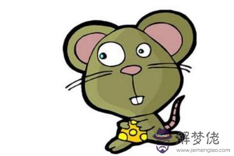 屬鼠命好嗎 2020年本命年運勢何如