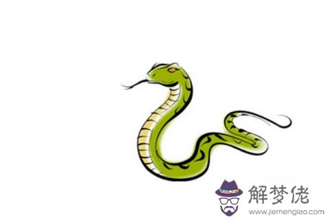 屬蛇人2020年佩戴什么開運吉祥物吊墜和手鏈首飾好