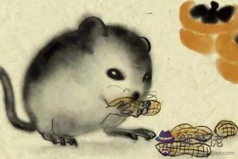屬鼠人本命年運氣差怎么辦,2020年怎么提升運氣？