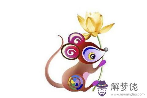 屬鼠本命年運氣很差嗎,2020年要注意什么