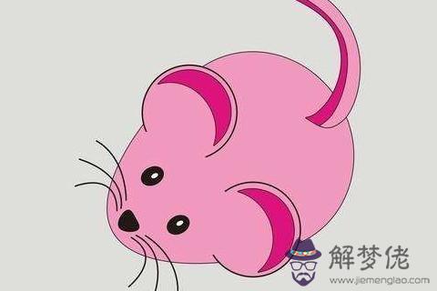 2008年屬鼠人本命年多少歲，2020年運勢好不好？