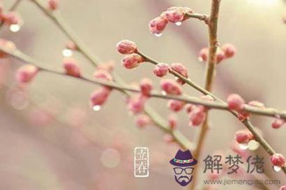 2月4日立春出生屬牛寶寶命運好嗎 是什么命格？(圖文)