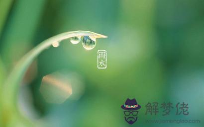 屬馬雨水節氣出生的人命運解析 屬馬雨水出生命格好不好？(圖文)