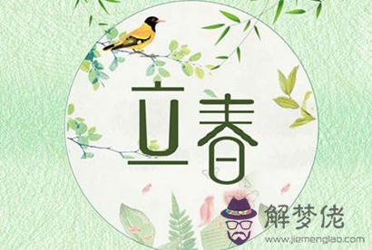 立春2月4日出生的屬狗寶寶命運如何 是什么命？(圖文)