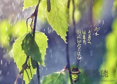 屬龍雨水節氣出生的人命運如何 屬龍雨水出生命格解析(圖文)