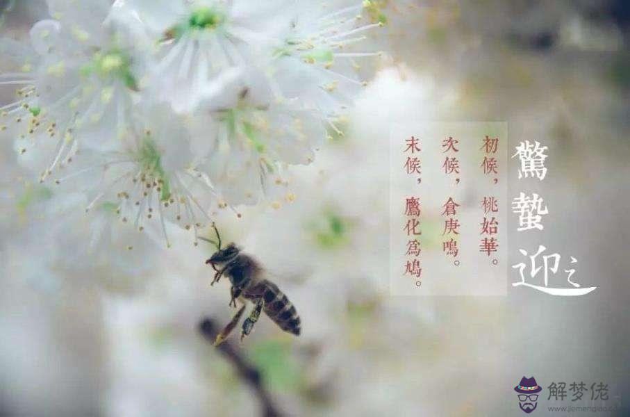 驚蟄節氣出生的屬虎人命運好不好 是什么命？(圖文)