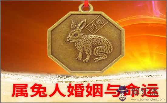 屬兔人的婚姻與命運