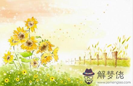 屬猴2019年到年底前財運能轉好嗎？財運是好是壞？(圖文)