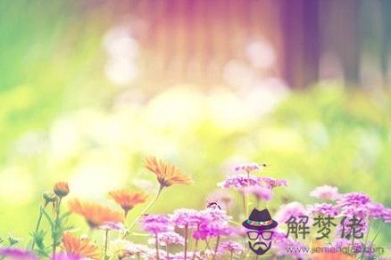 屬雞2019年離過年的時間里桃花運怎么樣？如何催旺桃花？(圖文)