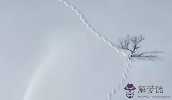 2020-12-06_202950.jpg
