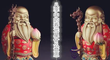 八字中的壽元星什麼意思