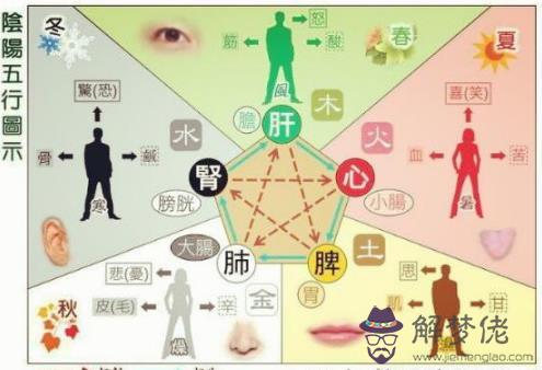如何知道自己五行缺失