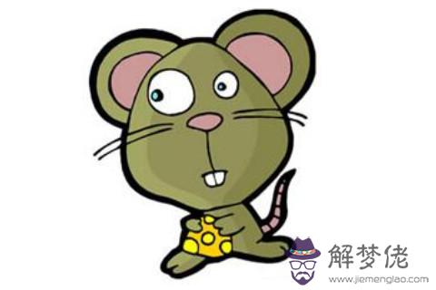 屬鼠女人和屬馬男人相配嗎？