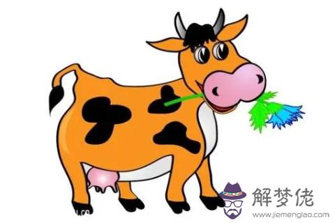 屬雞男人和屬牛女人在一起合適嗎？