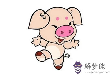 乙亥豬年五行屬什么？