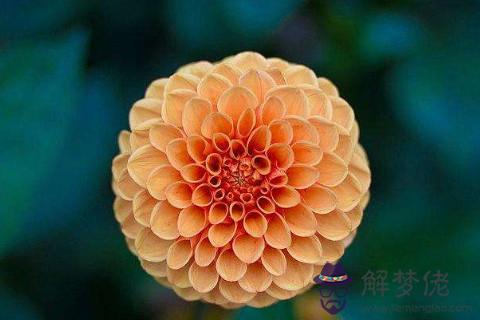 農歷六月二十三日出生的人命運如何