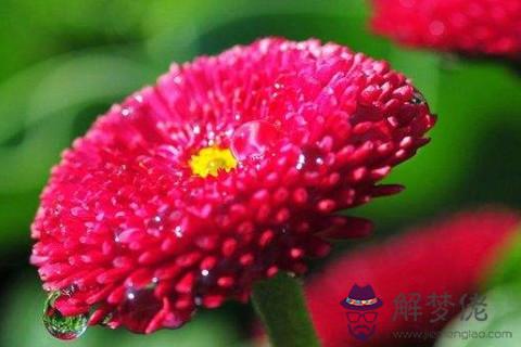農歷六月二十七日出生的人命運如何