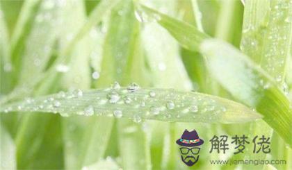 2020年雨水后一天不宜做什麼,2020雨水節氣溫度是多少度？(圖文)