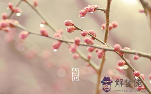 立春（2月3—2月5）立春祭是什麼活動 祭祀禮儀講究！(圖文)