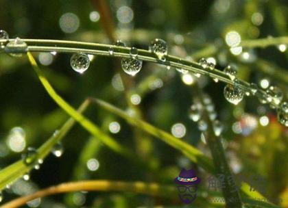 2020年2月19日雨水節氣可以上梁嗎,2020雨水幾點幾分幾秒？(圖文)