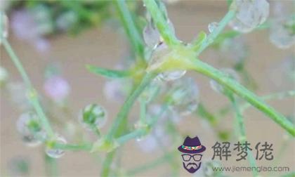 2020年2月19日雨水節氣可以上梁嗎,2020雨水幾點幾分幾秒？(圖文)