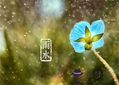 2020年2月19日雨水可以安葬逝者嗎,雨水節氣如何計算？(圖文)