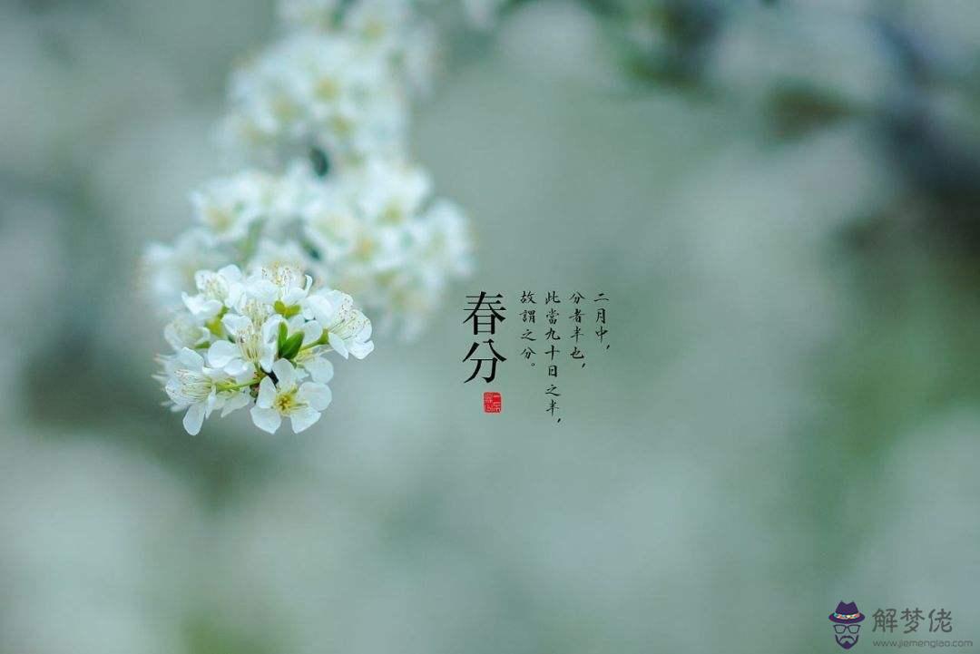 2020年春分出生的孩子是純陰命嗎？純陰命好嗎？(圖文)