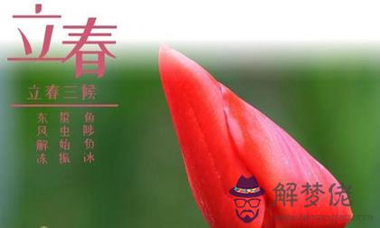 2020年立春日不宜安葬逝者嗎,2020年三九四九時間詳解！(圖文)