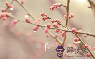 2020庚子年立春可以喬遷新家嗎？立春是什麼時候？(圖文)