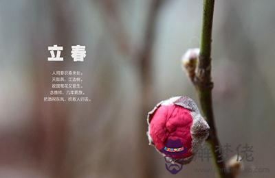 2020年立春還要幾天？立春節氣吃什麼食物？(圖文)