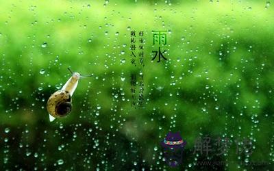 2020庚子鼠年雨水節氣有什麼禁忌宜忌事項？(圖文)