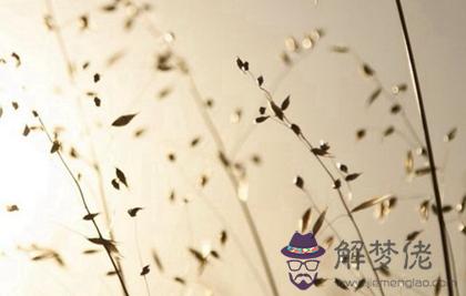 2020年鼠年農歷五月黃道吉日推薦,端午節在五月嗎？(圖文)