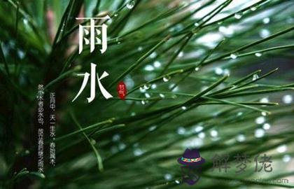 2020年正月廿六雨水忌破土嗎,2月19日雨水時辰宜忌解析(圖文)
