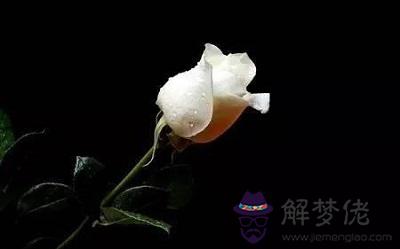 2020庚子鼠年農歷二月二十五適合出殯嗎？(圖文)