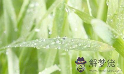 2020年雨水前一天正月二十五理發好嗎,節氣雨水是什麼意思？(圖文)