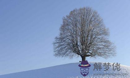 2020年大寒日子適合辦酒席嗎,大寒下一個節氣是立春嗎？(圖文)