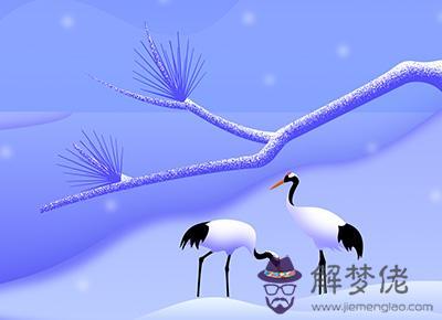 屬龍人與2020年大寒臘月二十六相沖嗎 大事勿用嗎？(圖文)