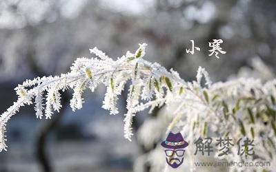 2020年1月6日小寒節氣出生的寶寶命好嗎？(圖文)