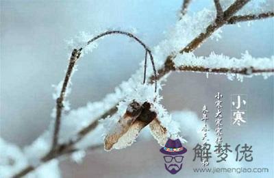 2020小寒出生的人命運好嗎？小寒是什麼季節？(圖文)